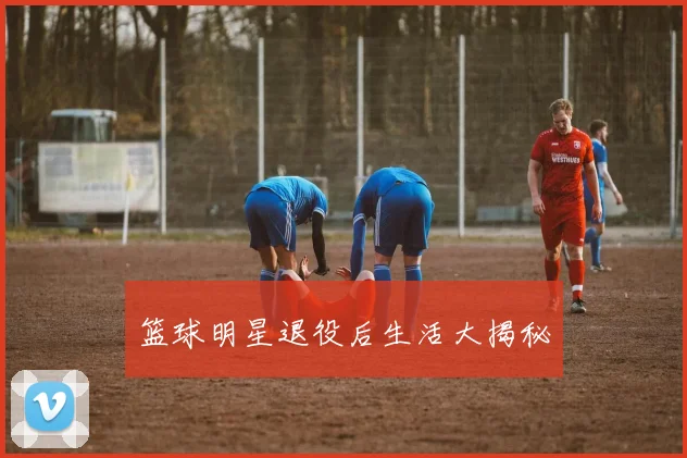 篮球明星退役后生活大揭秘